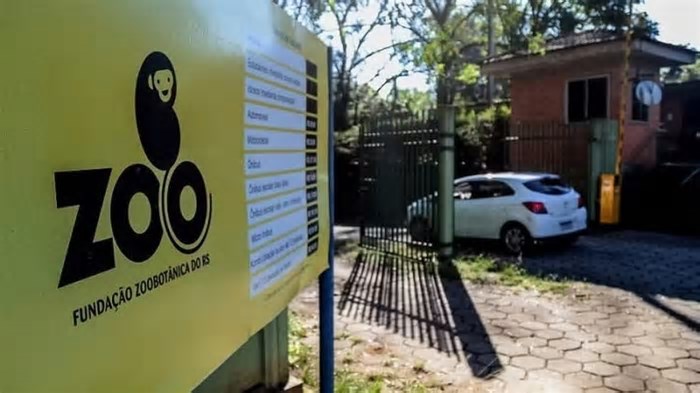 Gripe aviária mata cerca de 90 animais em zoológico do RS; estado tem dois focos da doença