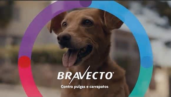 Bravecto® reforça proteção aos pets com estreia de live-action infantil