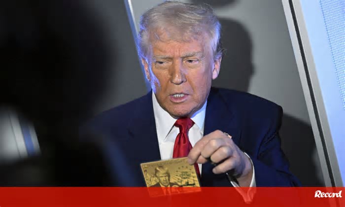 Família Trump já encaixou 283 milhões de euros com venda de criptomoedas 'meme'