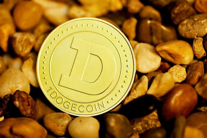 Como iniciar um minerador Dogecoin (DOGE) com BlockchainCloudMining