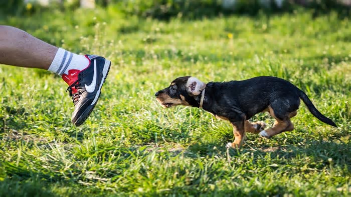 O tênis da Nike que promete mudar tudo no mundo da corrida