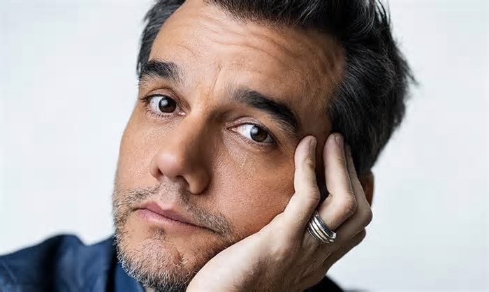 Atores brasileiros que conquistaram Hollywood