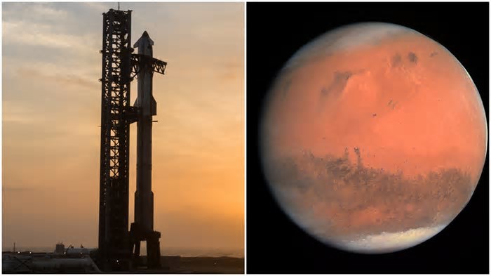 Anatomia do Starship | Saiba como é o foguete gigante da SpaceX que vai a Marte
