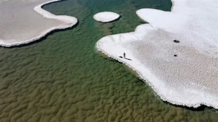 'Lagoas de micróbios' são descobertas em deserto da Argentina