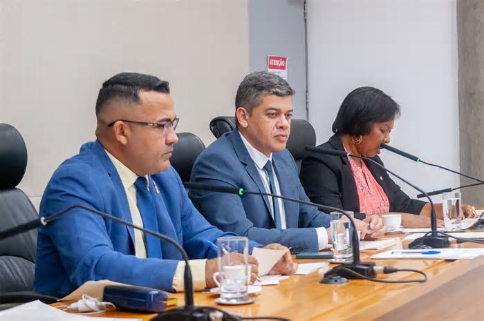 Comissão aprova criação de UPA para Pets