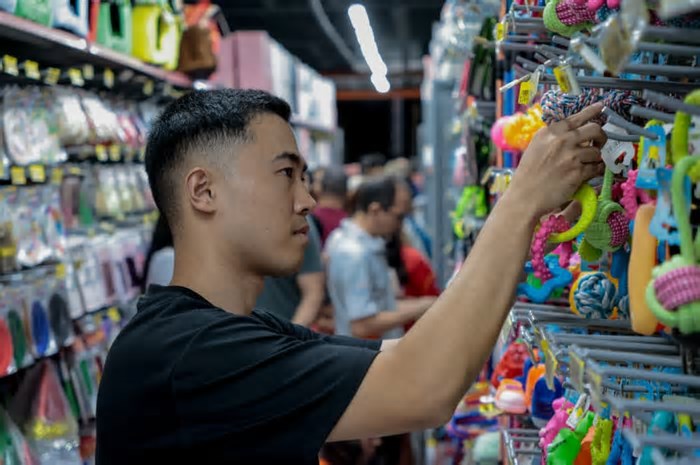O Dragão Asiático na Terra da Luz: imigrantes chineses no comércio da Capital