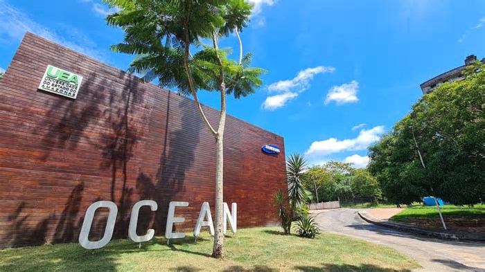 Samsung Ocean teve mais de 23 mil inscritos e 933 atividades de capacitação em 2024