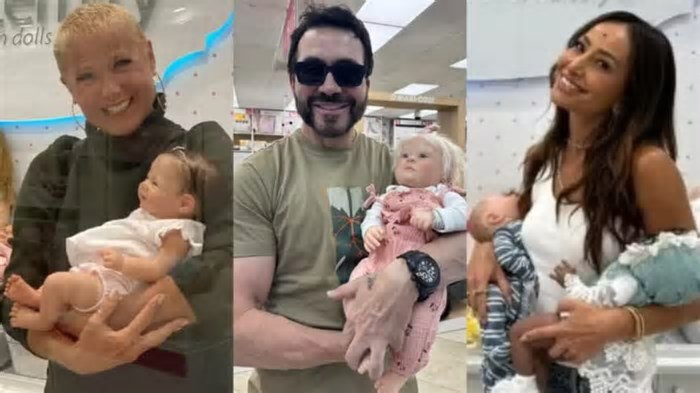 Vereadores do RJ aprovam PL que cria 'Dia da Cegonha Reborn'; entenda