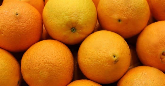 O poder da laranja para prevenir doenças e melhorar a qualidade de vida