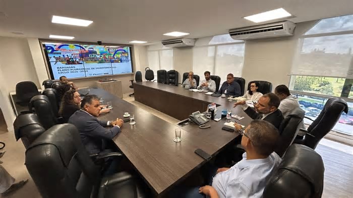 Bahiagás projeta investir R$ 1,38 bilhão até 2029 para expandir rede de gás natural na Bahia e impulsionar desenvolvimento regional