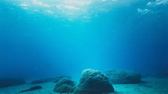 Mineração no fundo do mar: o que diz a Ciência?