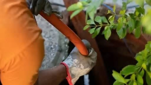 Limpa Tubos: soluções definitivas