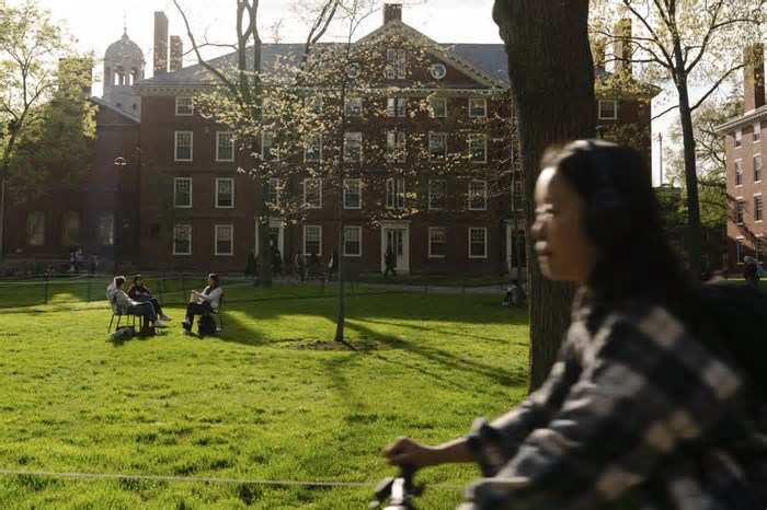 Trump x Harvard: Quais são as armas do presidente dos EUA contra a universidade?