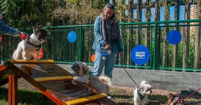 Praça Júlio Mesquita, no Centro Histórico de Porto Alegre, ganha espaço pet