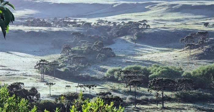 Defesa Civil de Santa Catarina emite alerta para chance de neve nos próximos dias