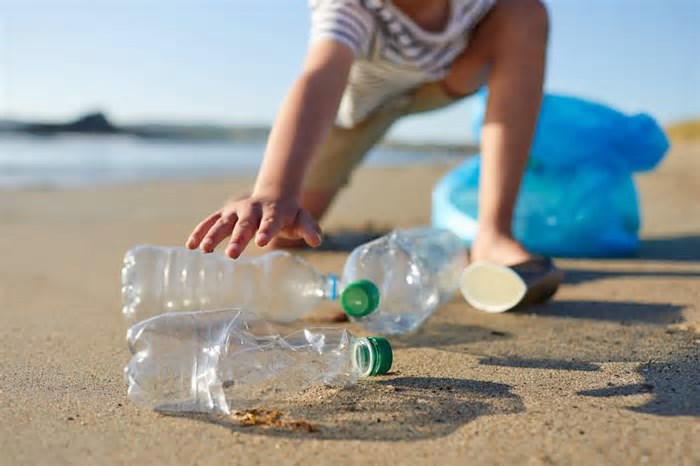 Dia Mundial do Meio Ambiente: 8 dicas para usar menos plástico em viagens na natureza
