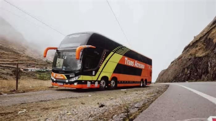 Maior rota de ônibus do mundo parte do litoral, cruza países e está no Guinness Book