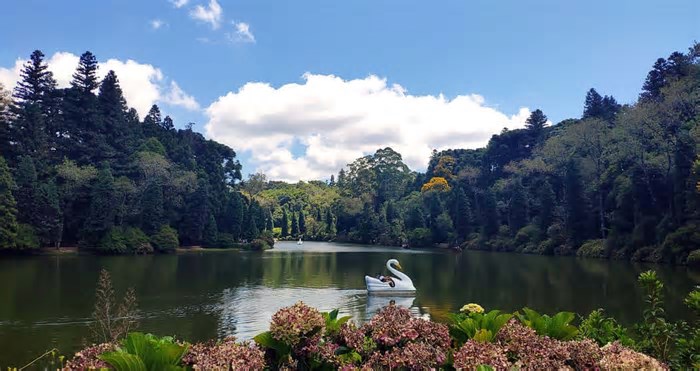 Onde curtir o friozinho no Brasil com muito estilo? Conheça 3 cidades ideais para visitar no inverno
