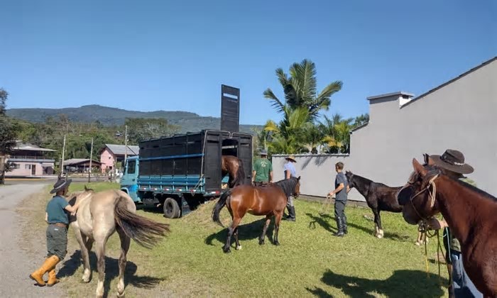 Cavalgada da Serra parte hoje de Picada Café e chega a tarde em Nova Petrópolis