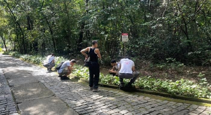 BH fica em 3º lugar no Desafio Mundial da Natureza Urbana; veja espécies mais encontradas na Capital