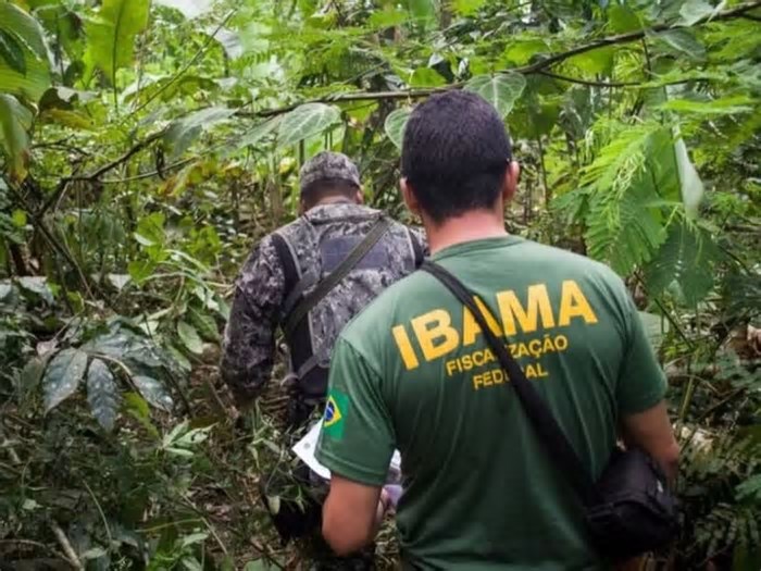 Concurso Ibama: divulgados resultados das provas; saiba como conferir