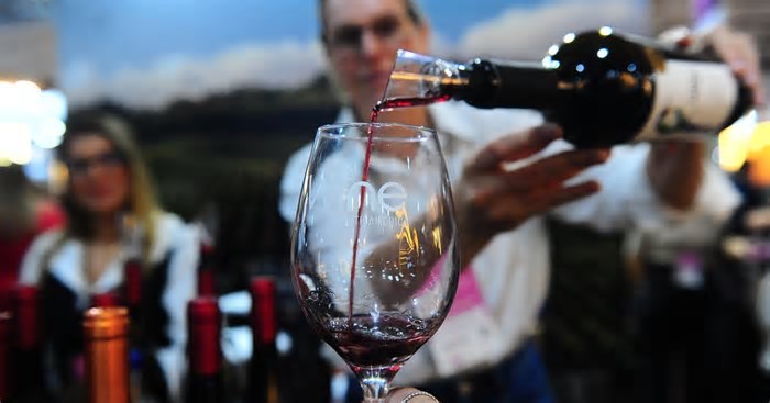 Inteligência artificial, terroirs estreantes e nova região produtora: os destaques da Wine South America