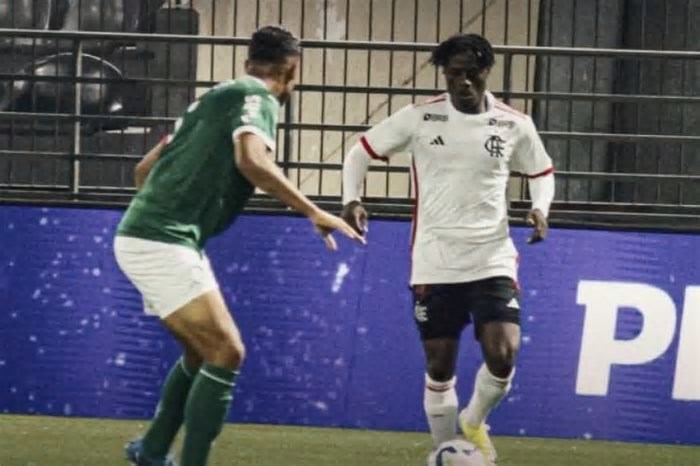 Palmeiras conquista vitória, de virada, sobre o Flamengo no Brasileirão sub-20