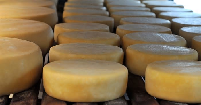Dia do Queijo: vem aí o Festival do Queijo Artesanal de Minas