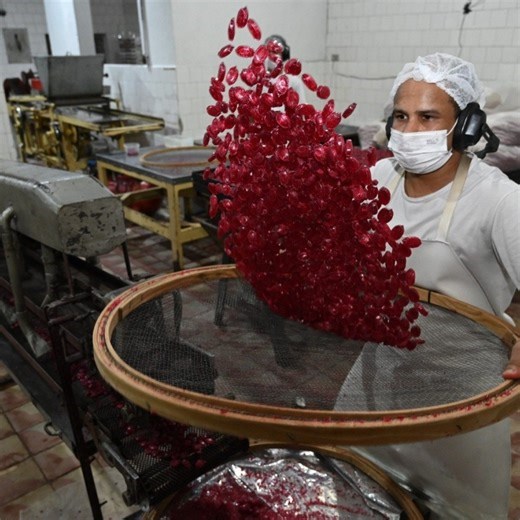 Uma fantástica fábrica de doces: Lalka comemora seu centenário em 2025
