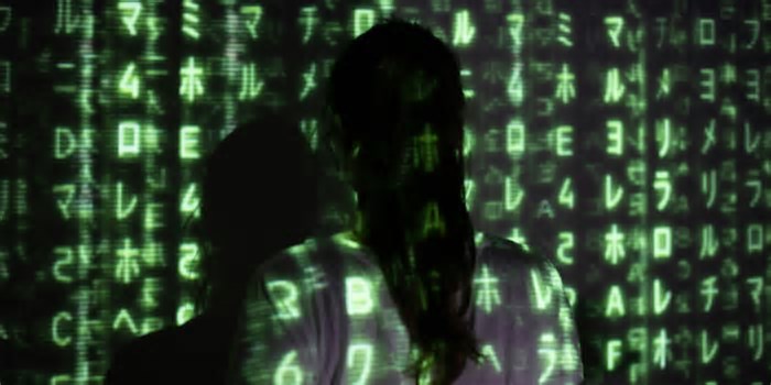 Como os criminosos usam dados privados para encontrar “boas” vítimas e ganhar milhões