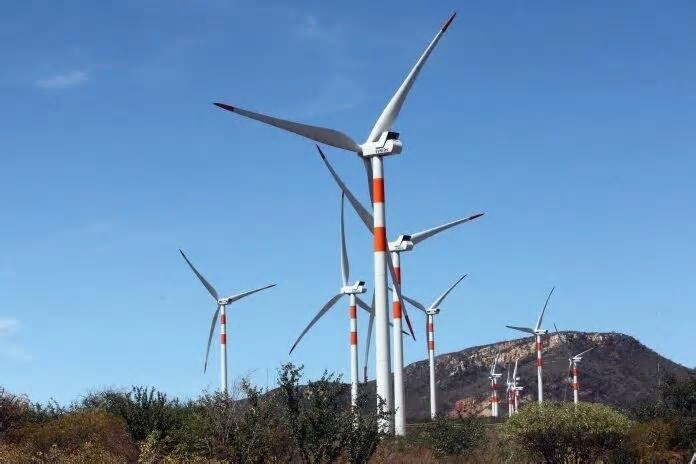 Energia eólica offshore e hidrogênio verde no Brasil não beneficiam a população e destroem vidas e territórios marinhos