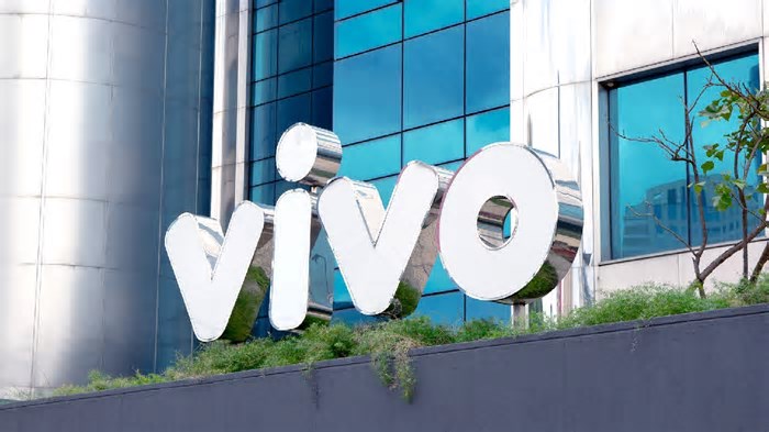Dividendos e JCP: Vivo (VIVT3) distribuirá R$ 500 milhões em proventos; veja quem recebe