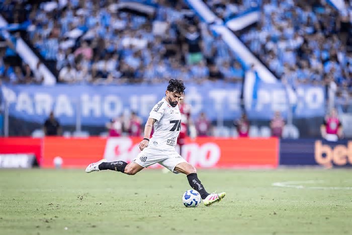 Santos x Ceará: Onde assistir o jogo do Brasileirão?