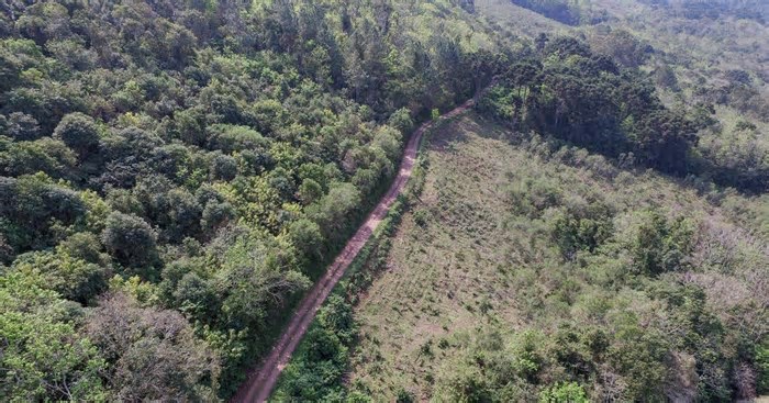 Governo do Estado vai licitar estudo e anteprojeto do acesso ao aeroporto de Vila Oliva de forma conjunta