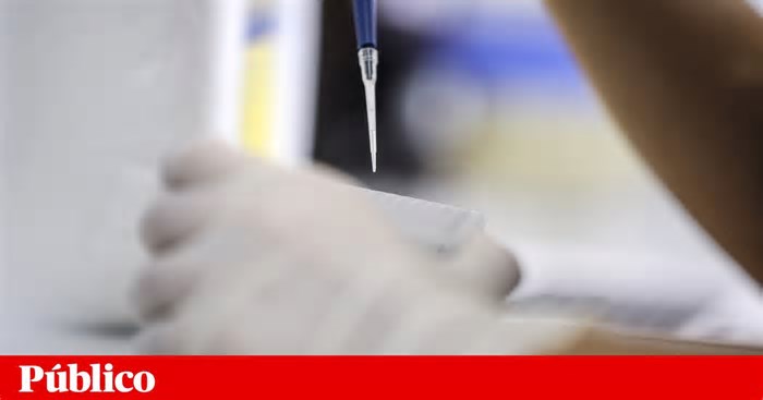 Bolsas Mulheres na Ciência distinguem trabalhos na saúde e na conservação dos oceanos
