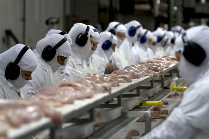 Em cada 4 estrangeiros contratados no país, 1 trabalha em Santa Catarina