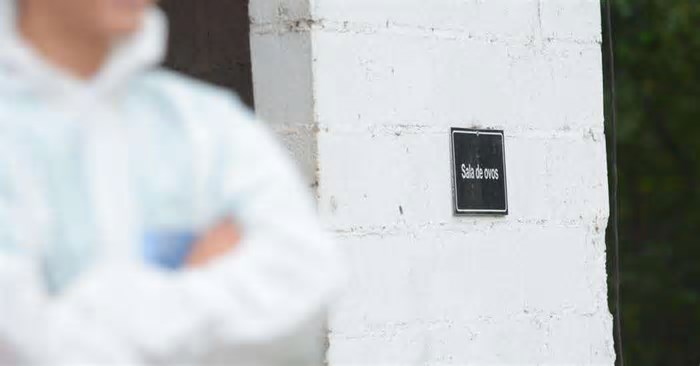 Gripe aviária: Veja lista atualizada de países que ainda restringem importações de carnes de aves do Brasil e do RS