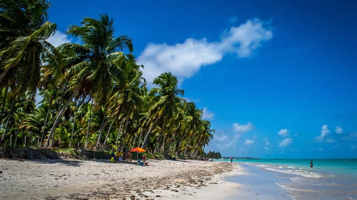 Cidade no litoral de Alagoas é um dos destinos mais deslumbrantes do Nordeste