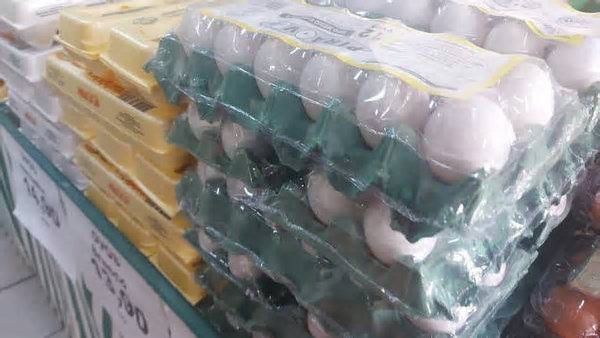 Ovo atinge menor preço de 2025 em abril após recordes nas cotações, aponta centro de pesquisas da USP