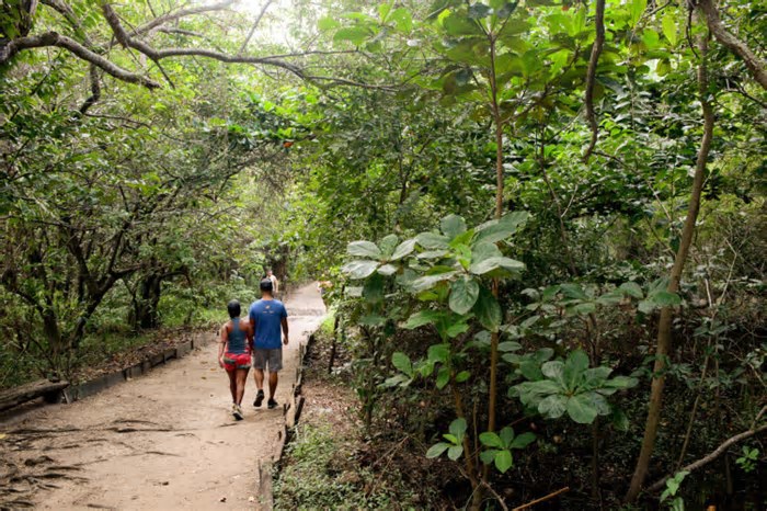 Cocó é o parque estadual mais visitado do Brasil e Jericoacoara o mais visitado do Nordeste