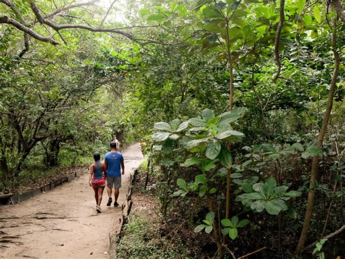 Cocó é o parque estadual mais visitado do Pais, aponta levantamento