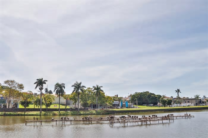 Semae e Prefeitura debatem sobre revitalização de fonte da represa