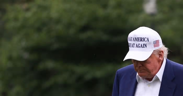 Procura-se cientistas: quais países buscam pesquisadores após Trump cortar verba de universidades