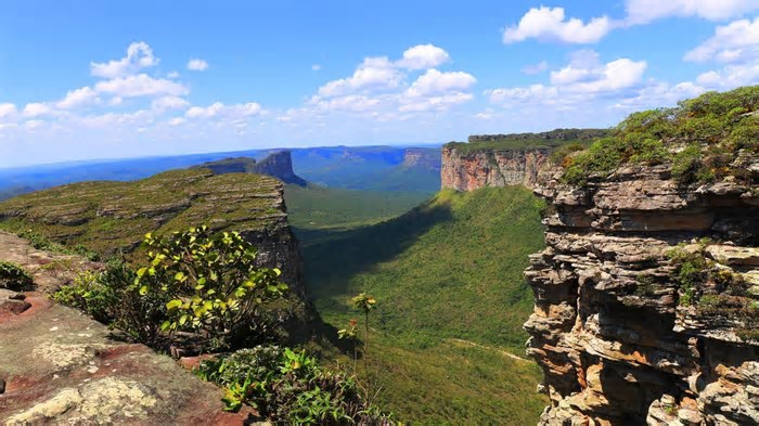 Essa cidadezinha no interior da Bahia tem ruas floridas o ano inteiro