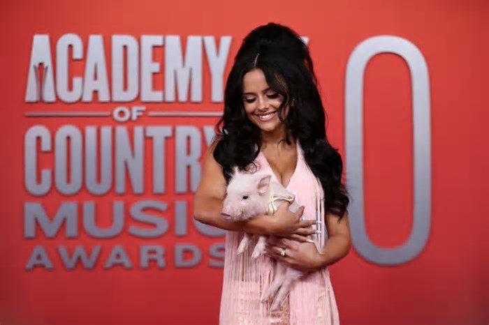 Cantora zera red carpet ao surgir com porquinho combinando com seu look em premiação e explica por que o 'convidou': 'Ele é meu par'