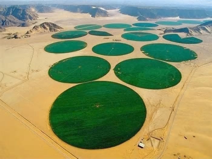 Como a Arábia Saudita está usando água de 20 mil anos para fazer o deserto florescer