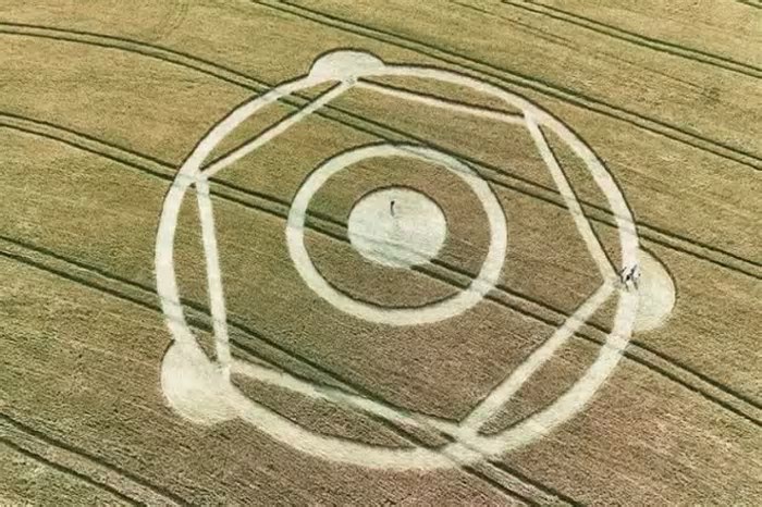 Marca inexplicável surge em plantação de trigo