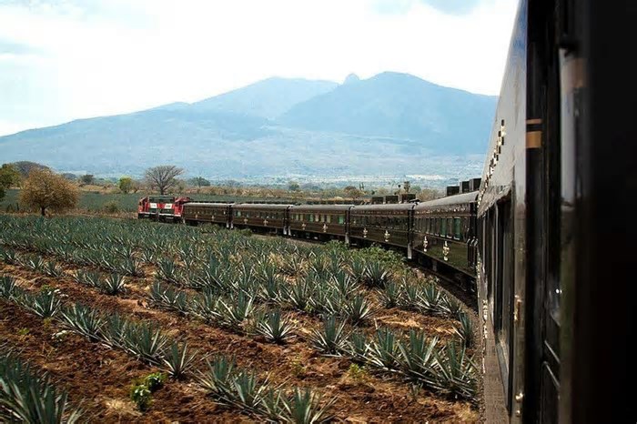 O “turismo da tequila” está de volta ao México (sob a forma de comboio)