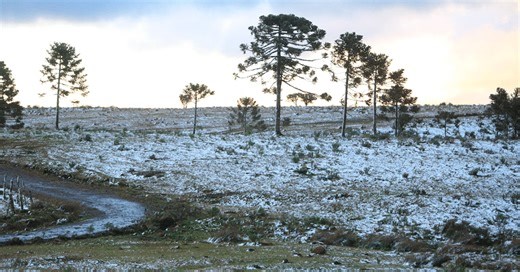 Neve chega pela primeira vez ao Brasil em 2025: veja os lugares e o que causou o fenômeno