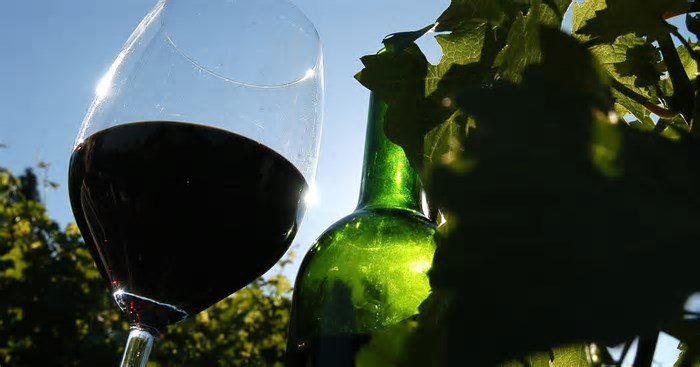 Prefeitura de Caxias promove evento para celebrar o Dia Estadual do Vinho; vinícolas podem se inscrever para participar